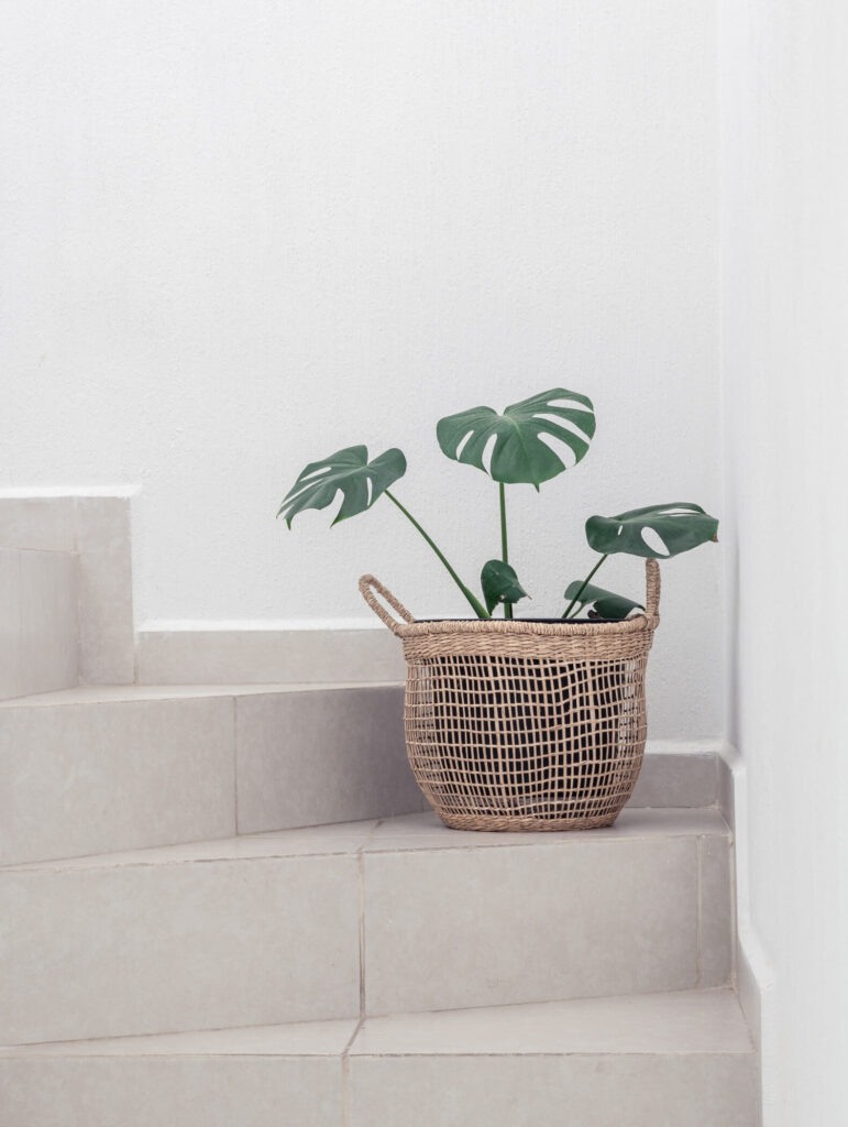 morning kiss head spa and wellness alex quezada aQgpwEqDfsI unsplash@1.5x